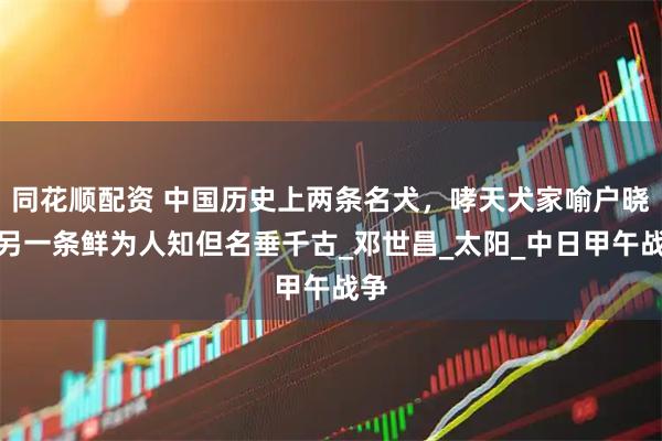 同花顺配资 中国历史上两条名犬，哮天犬家喻户晓，另一条鲜为人知但名垂千古_邓世昌_太阳_中日甲午战争