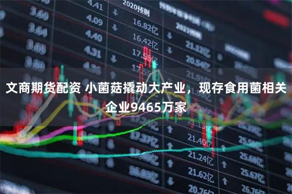 文商期货配资 小菌菇撬动大产业，现存食用菌相关企业9465万家