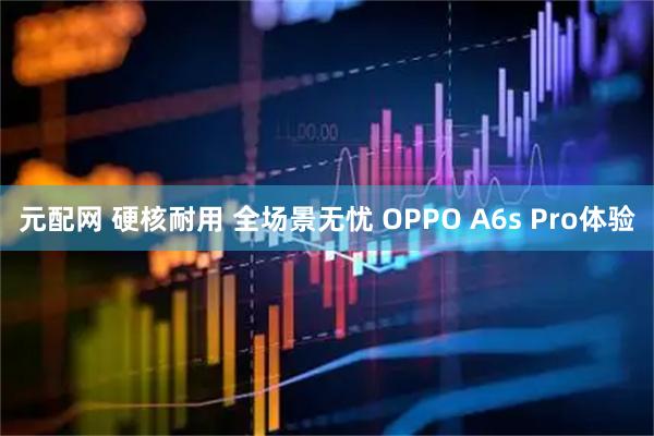 元配网 硬核耐用 全场景无忧 OPPO A6s Pro体验