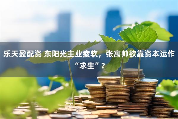 乐天盈配资 东阳光主业疲软，张寓帅欲靠资本运作“求生”？
